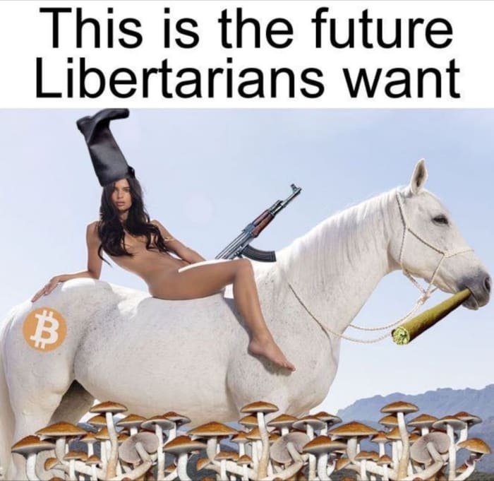 Bitcoiners Are Not Utopians