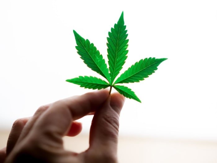 Bitcoin Can Finance Growth In The Cannabis Industry Bitcoin Can Finance Growth In The Cannabis Industry