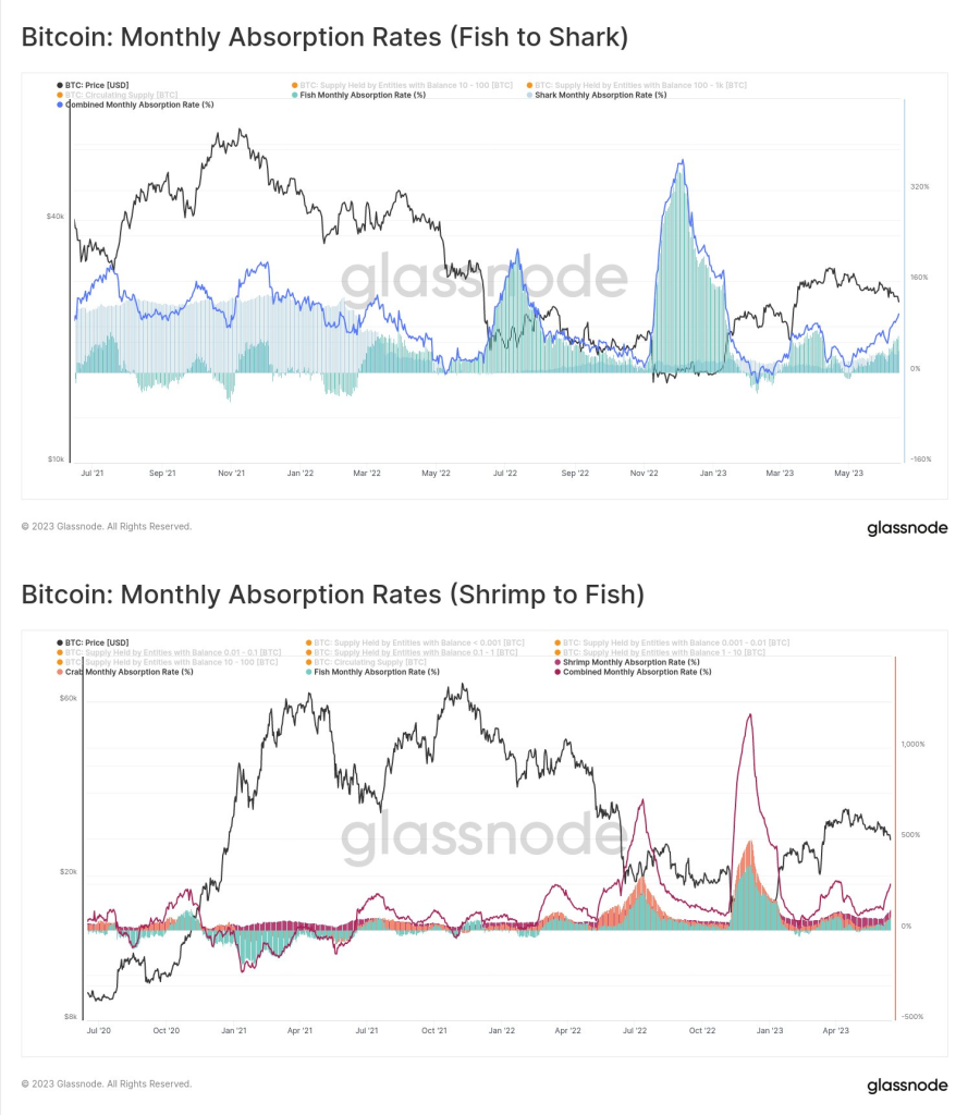 3 Bitcoin price metrics showing ‘insane’ similarities to 2020 breakout