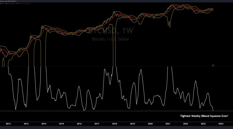 Investor checking crypto portfolio