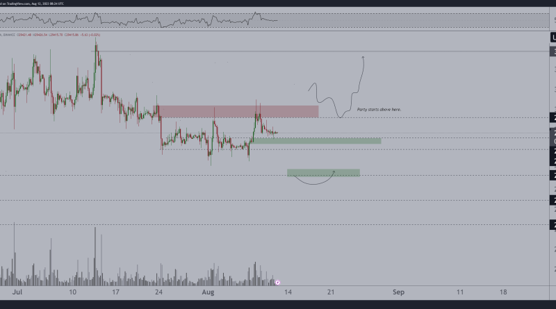 Crypto analyst reviewing charts