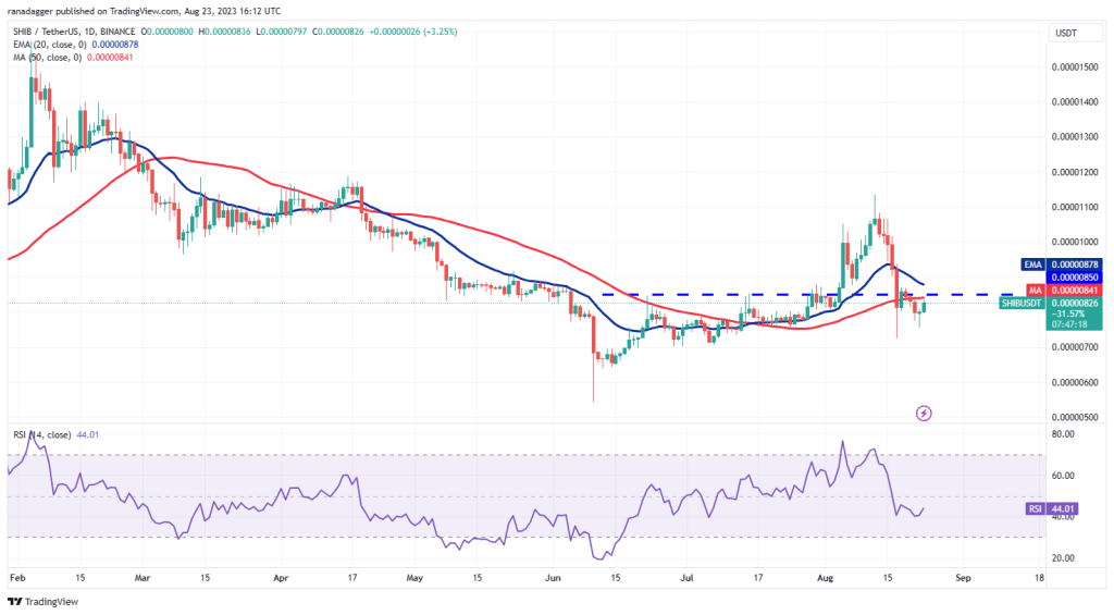 npressfetimg 540 png