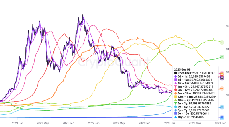 bitcoin growth news today