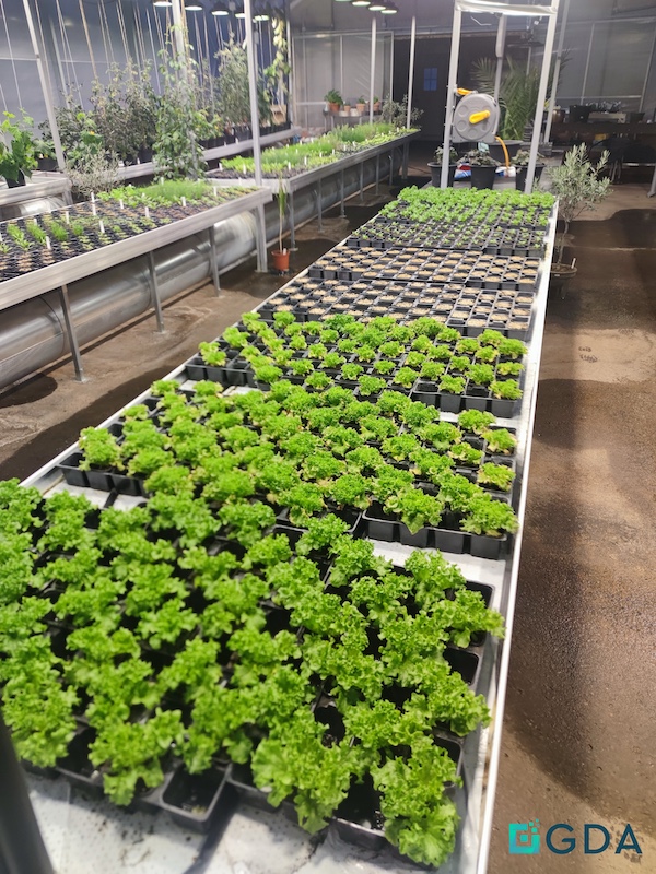 npressfetimg 347 png