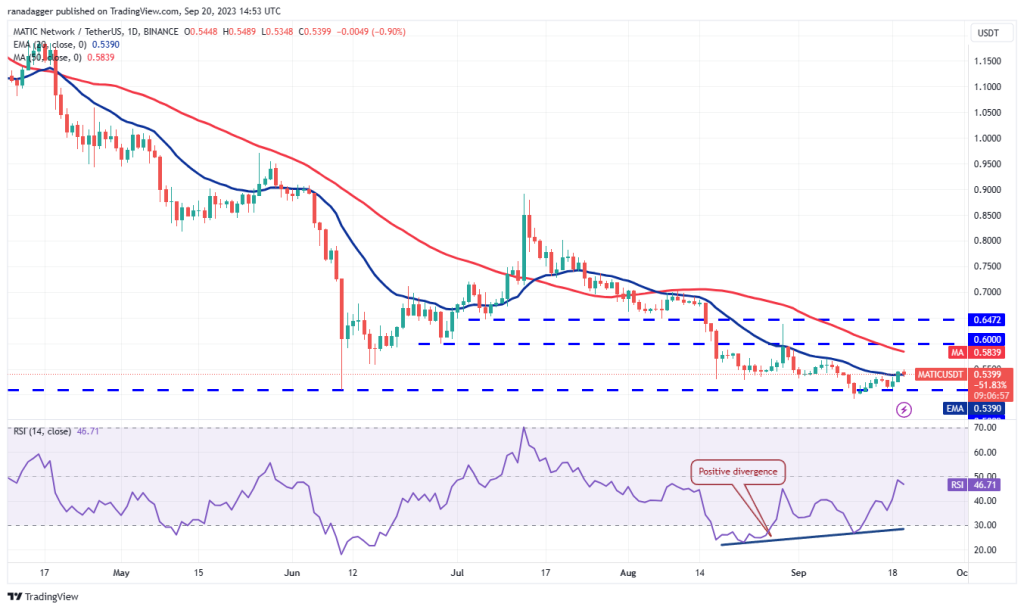 npressfetimg 394 png