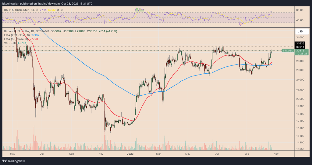 bitcoin growth trends