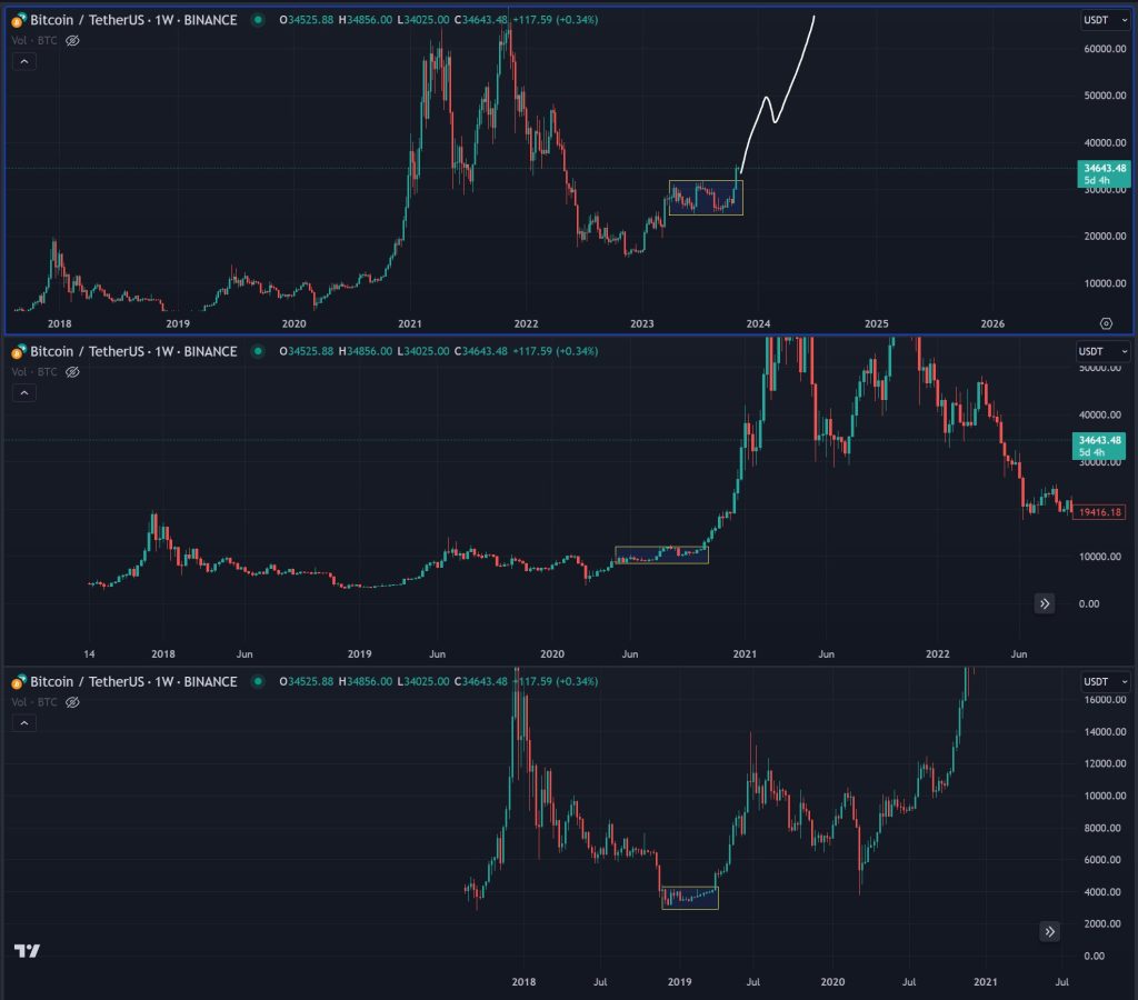 bitcoin growth insights